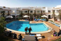 Camel Hotel - Red Sea. Swimming pool. 
